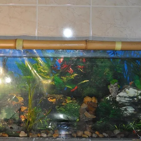 Sea Apartment,